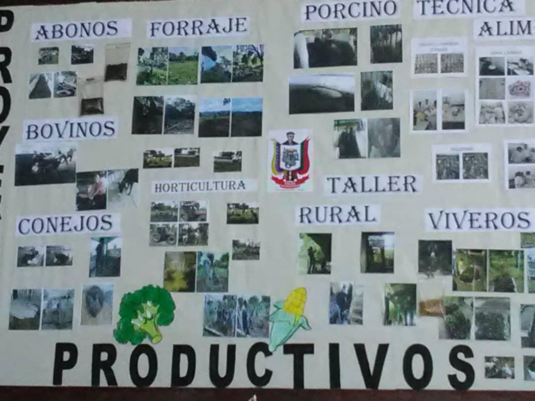 tfcordero's tweet photo. #29Nov Cierre de Proyectos Productivos del Primer lapso de la #ETIACTFC dónde a aprendemos haciendo. @charlychaves @TecnicasTachira @psuvaristobulo https://t.co/LHJyeN2KWS