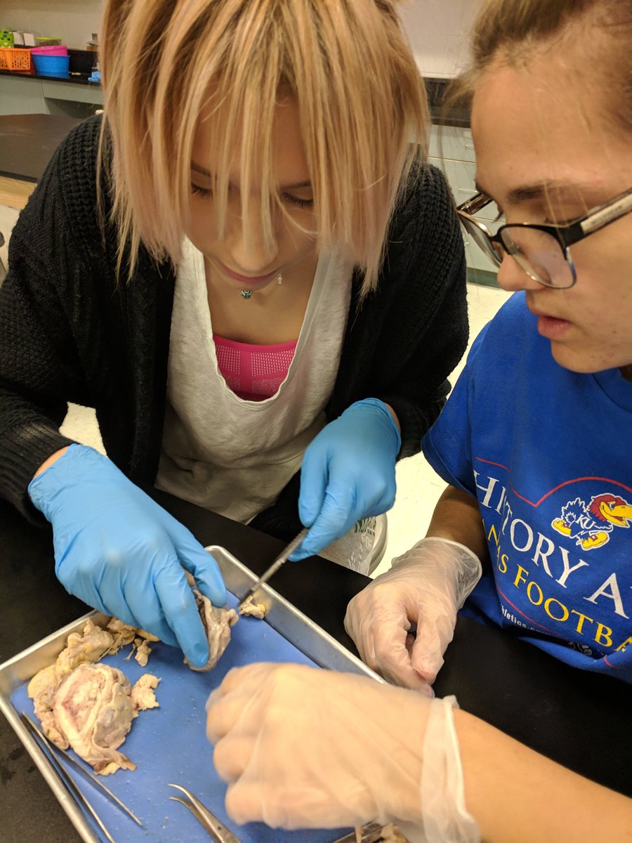 geiscas's tweet photo. #HBS students completed an eye dissection today as part of our communication unit. Student will be comparing cow vs human eye anatomy. 🐄 👀 #PLTW #PLTWKS https://t.co/zMLS3lo82z