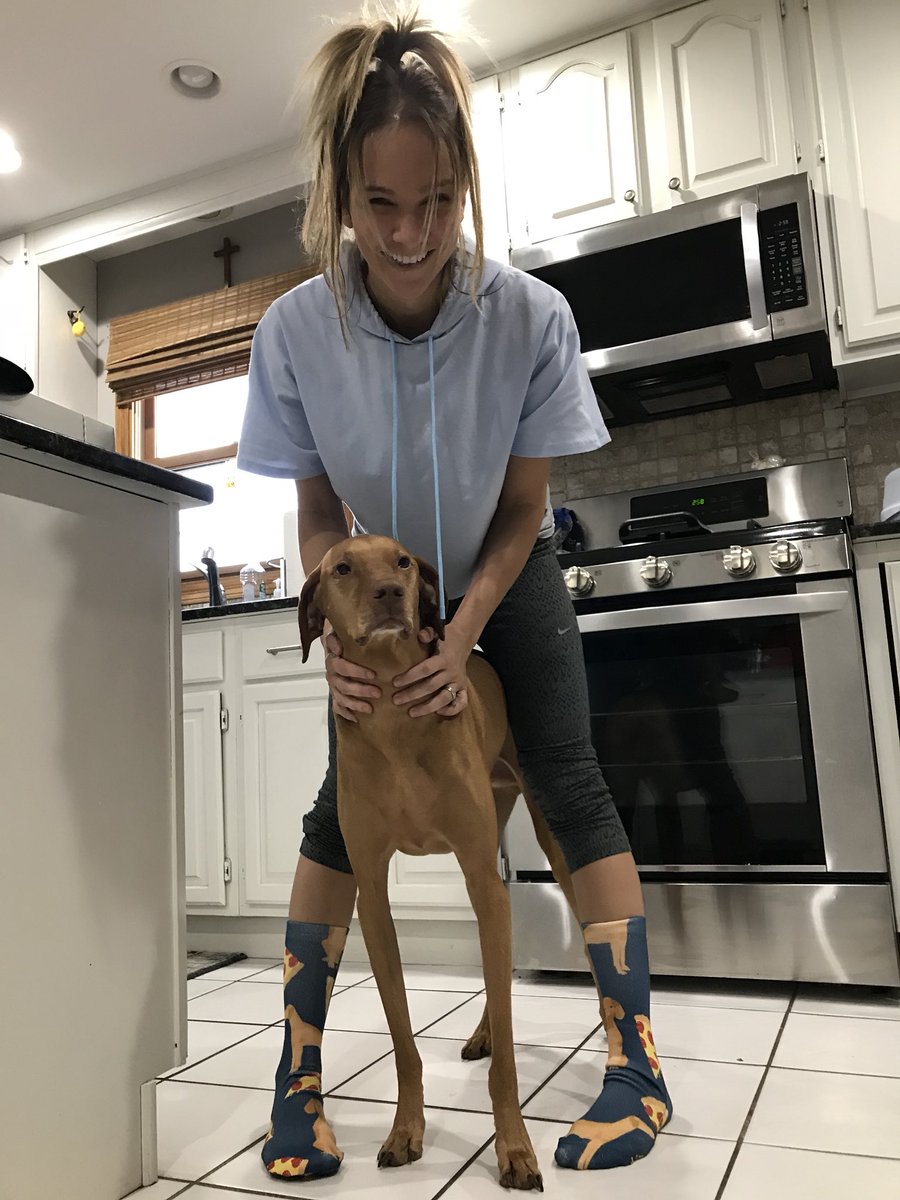 KristenRGraf's tweet photo. @DanaPerino #SocksForBush #SocksforJasper #SocksForPizza #Duke https://t.co/cw684hiw86
