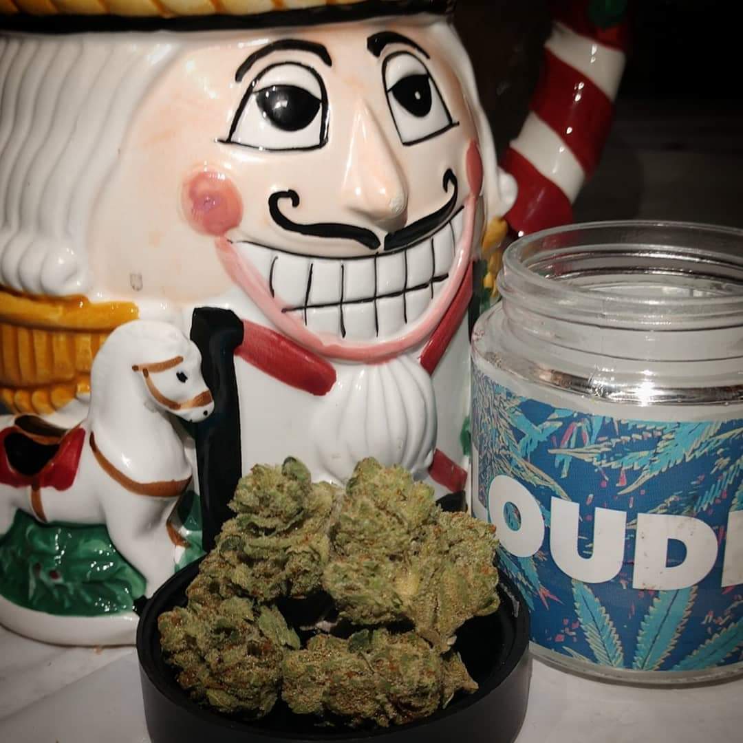 Mimi_THC's tweet photo. @loudpack, hybrid, miss USA is flavorful and wonderful for a birthday celebration. I would recommend a bar crawl, beach Walk, or movie at city walk while enjoying this strain. https://t.co/q15oDyWI55