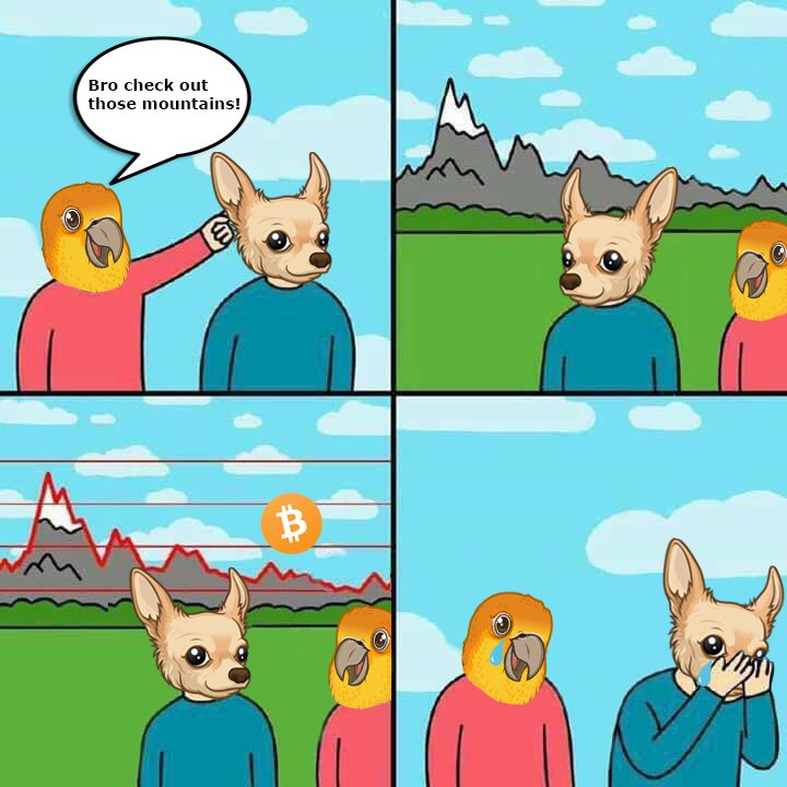 DogLoverBro's tweet photo. When the #bitcoin $BTC price is always in your mind lol. 😅

 #BTC #bitcoin #blockchain #binance #crypto #bullrun #invest #ecommerce $XMR #monero #nasdaq #joke $BNB https://t.co/lfLlyJw0XP