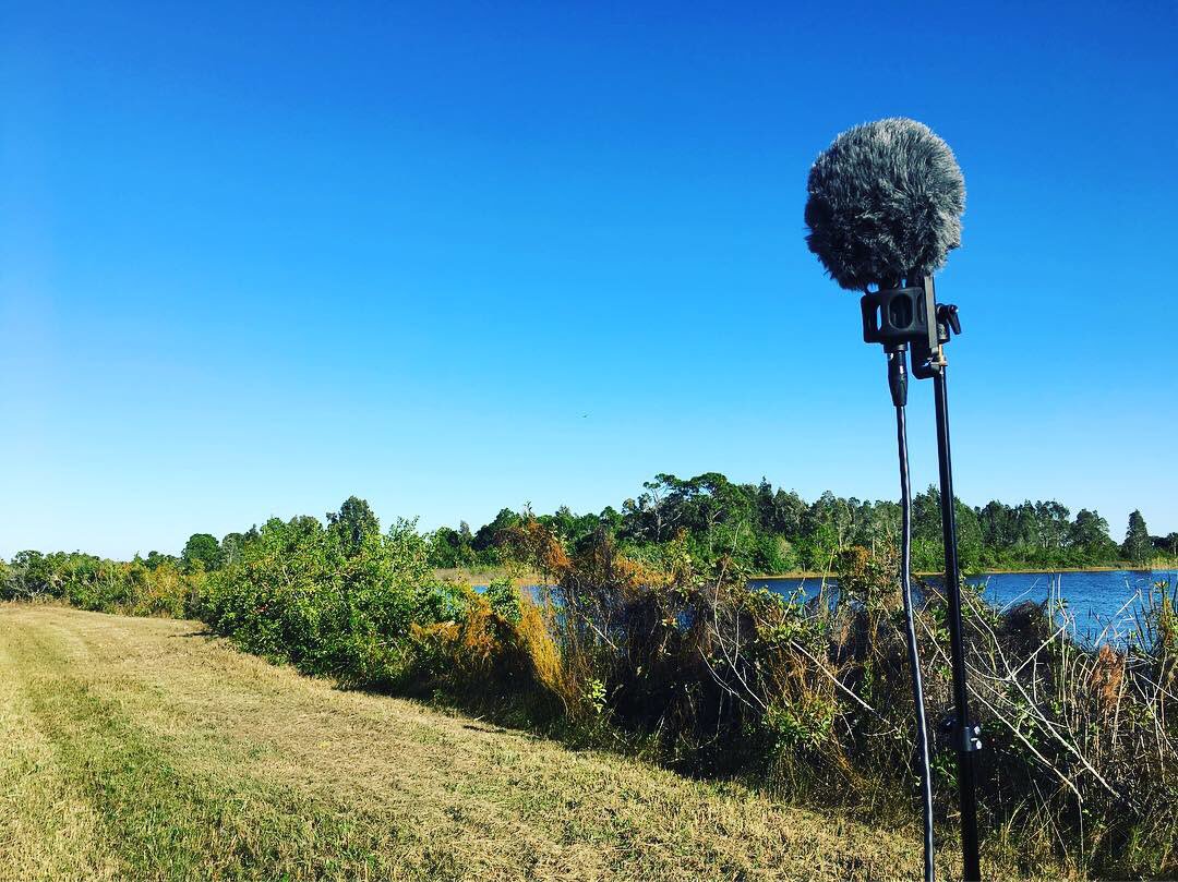 watsonwu's tweet photo. Beautiful cool windy afternoon for some ambience recordings using the Rode NT-SF1 ambisonic mic. 😎🔊👍🏻 #rodentsf1 #ntsf1 #rodemic #soundfield #ambisonic #ambience #fieldrecording #sounddesign #soundeffects #gameaudio #audioforgames #filmsound #ktekstingray #vraudio @SanDisk https://t.co/nI80mlf856