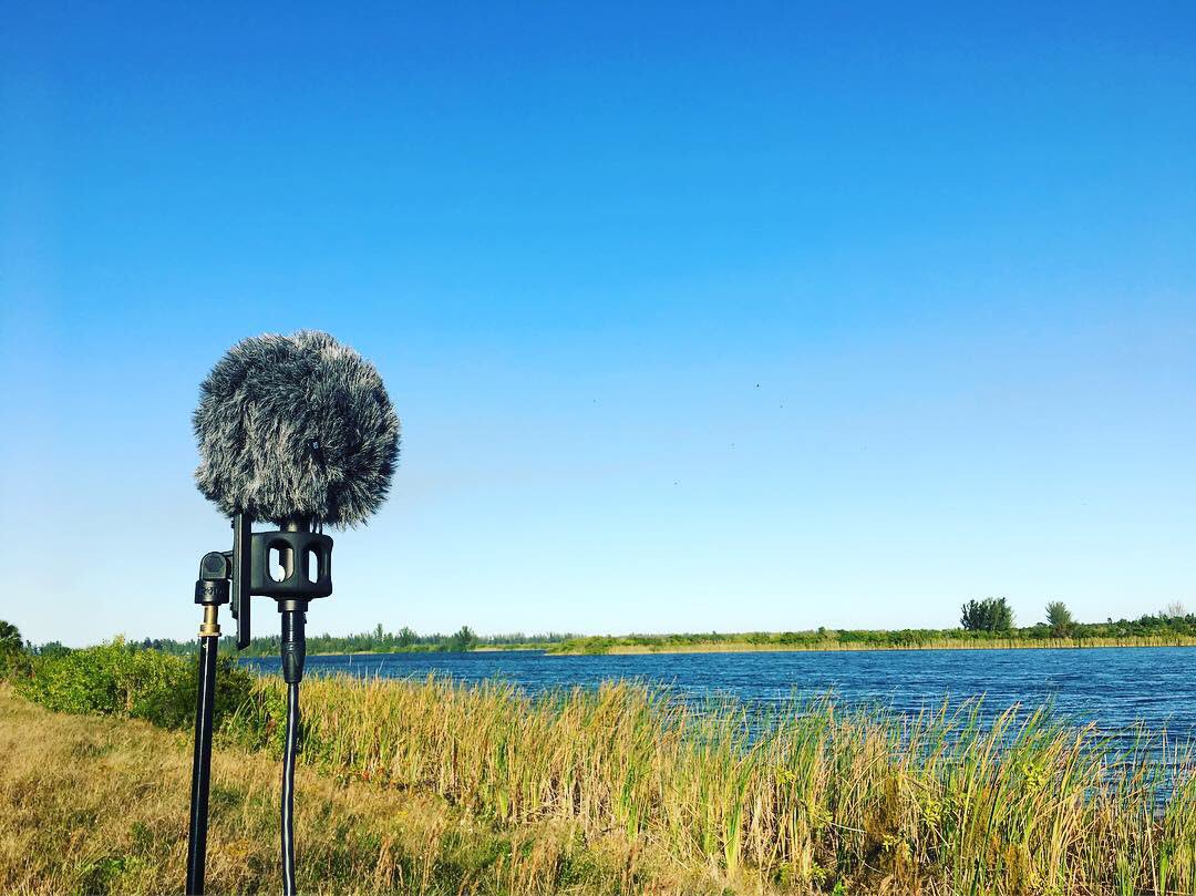 watsonwu's tweet photo. Beautiful cool windy afternoon for some ambience recordings using the Rode NT-SF1 ambisonic mic. 😎🔊👍🏻 #rodentsf1 #ntsf1 #rodemic #soundfield #ambisonic #ambience #fieldrecording #sounddesign #soundeffects #gameaudio #audioforgames #filmsound #ktekstingray #vraudio @SanDisk https://t.co/nI80mlf856