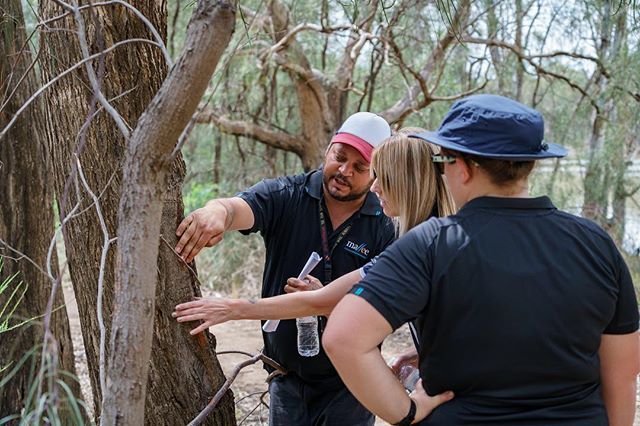 LowMurWater's tweet photo. We participated with Parks Vic and Mallee CMA in a excursion with Red Cliffs high school students where the cultural significance of Turtles and Kings Billabong was explored.
..
📷 by @malleecma ..
..
..
..
#TurtlesDay #Nature #Environment #MalleeCMA … https://t.co/jVdr5dQUMc https://t.co/1sIpqKpC1O