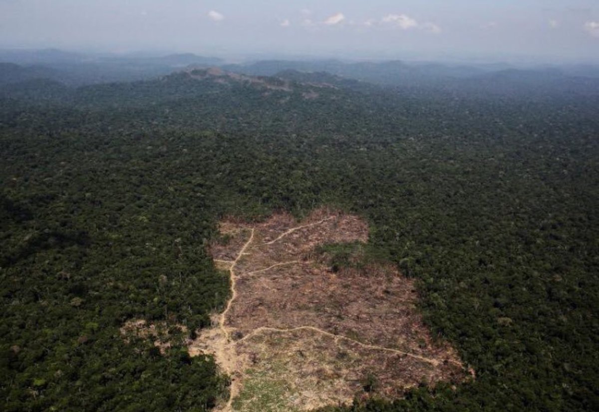 grReforestation's tweet photo. Some people may see this as a small chunk of land, but just think about all the animals homes that were destroyed. 😱😔 #deforestation #animalsmatter #saveourforests #howwouldyoulikeit #deforestation https://t.co/Ep6oIkMDhM