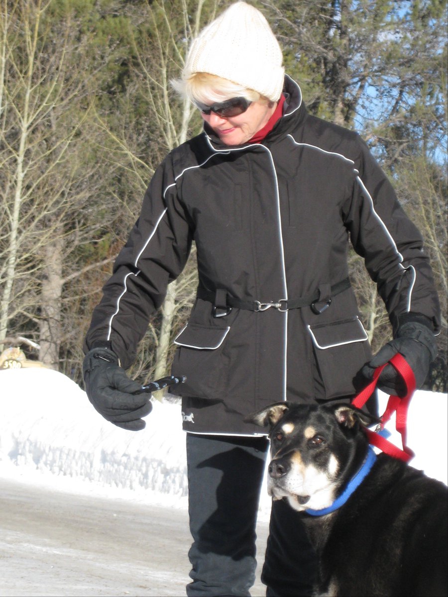 Everwalking's tweet photo. Embrace the Holidays! Give your favorite dog lover the gift they will treasure ALL year long while enjoying fun outdoor activities with their dog(s). A Let's Go Design Dog Walking Utility Jacket! https://t.co/AC9daTZuIb https://t.co/ZM9kdLEH1o