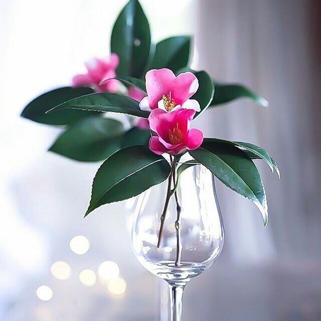 محمد البےعداني (@mahmmed2271) on Twitter photo 