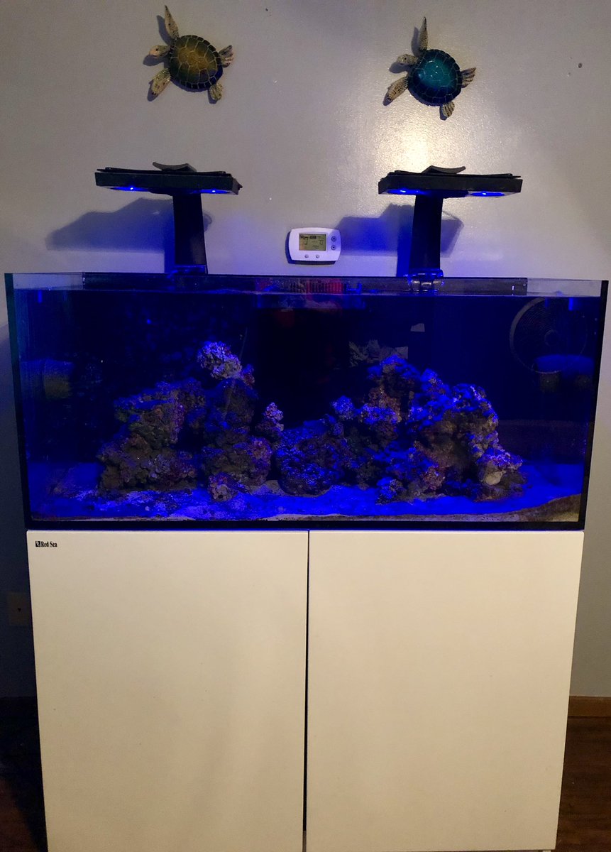 Add a splash of color to your existing decor.