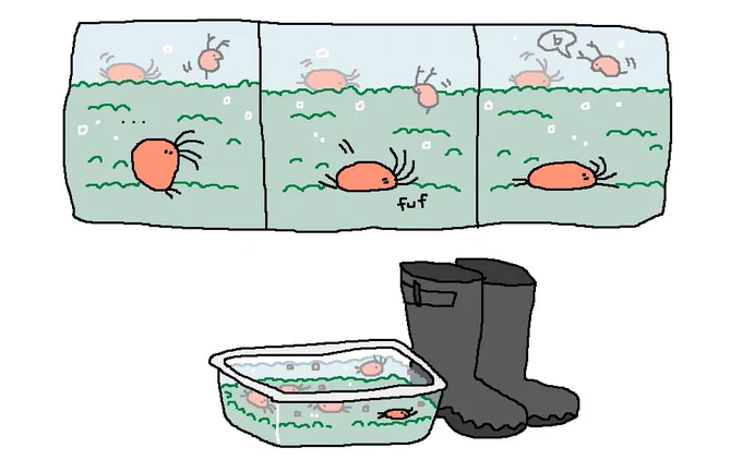 when your lifespan is 20 days but you still want to lay down
#comic
#mossworm 