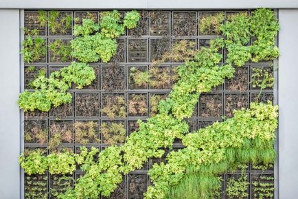 CS_decor's tweet image. Votre jardin prend de la hauteur !
Particulièrement adapté à la vie urbaine, le jardin vertical s’adapte facilement sur une terrasse ou un balcon. De quoi respirer à pleins poumons, même en centre-ville.