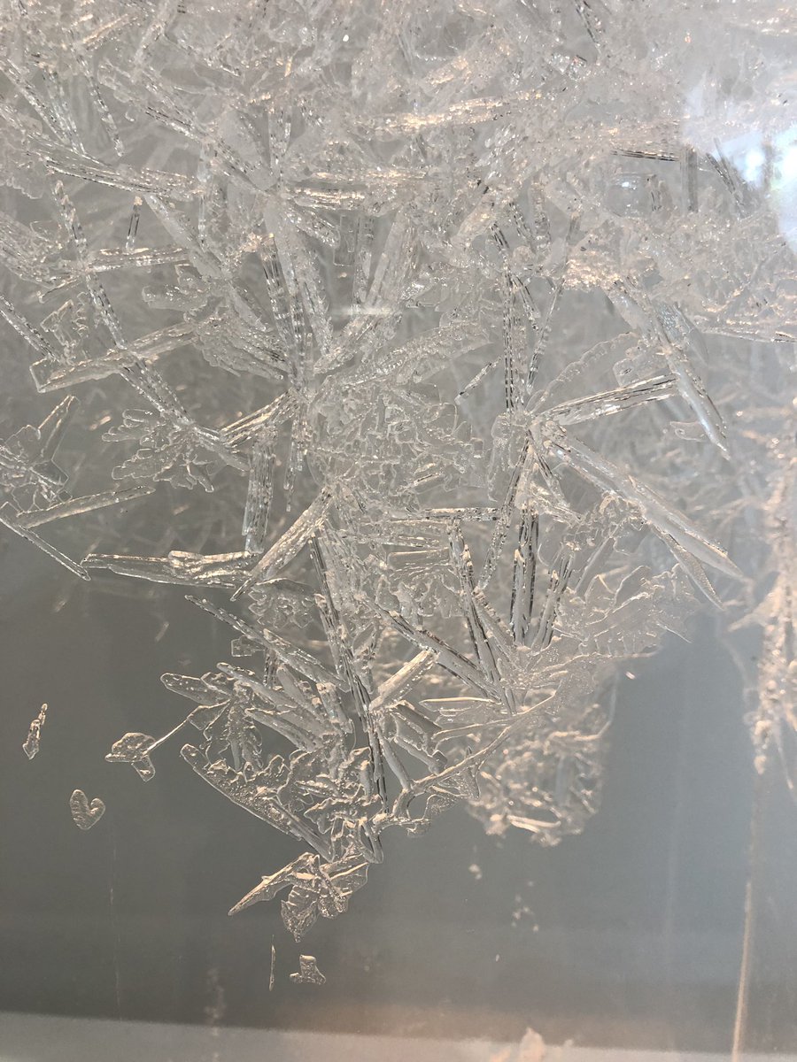 enaluis_'s tweet photo. #ascanz finished yesterday, but I’m still running into crystals.
Spotted in the Auckland Art Gallery: https://t.co/oGmartdDo1