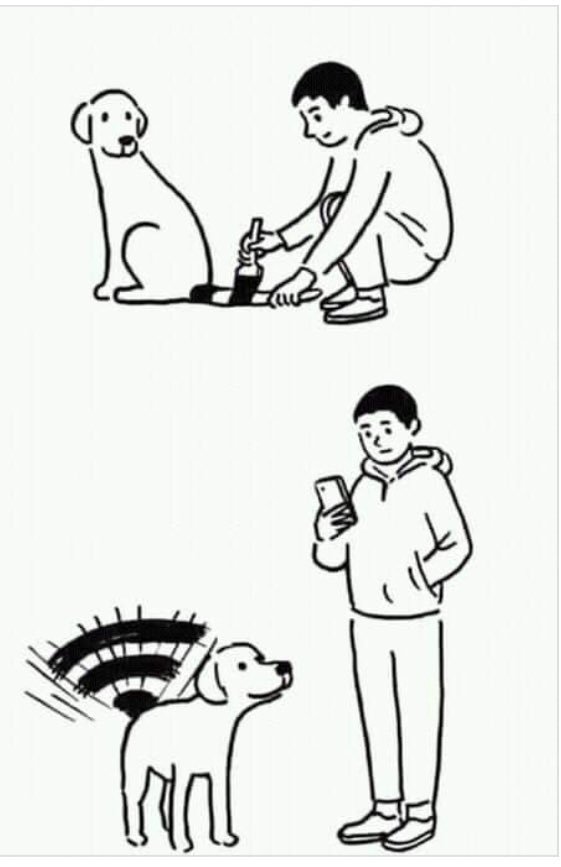 Tailtale_tech's tweet image. This is not the kind of Dog Tech we had in mind when we started TailTale. #dogtech #dogmeme