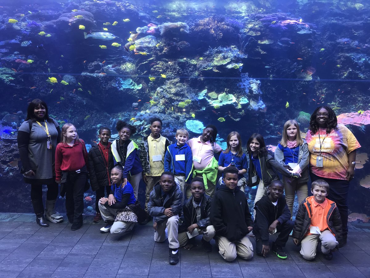 Midway Hills Academy tweet media