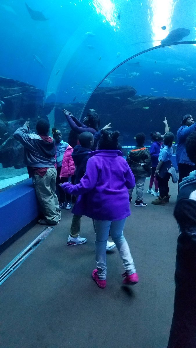 Midway Hills Academy tweet media