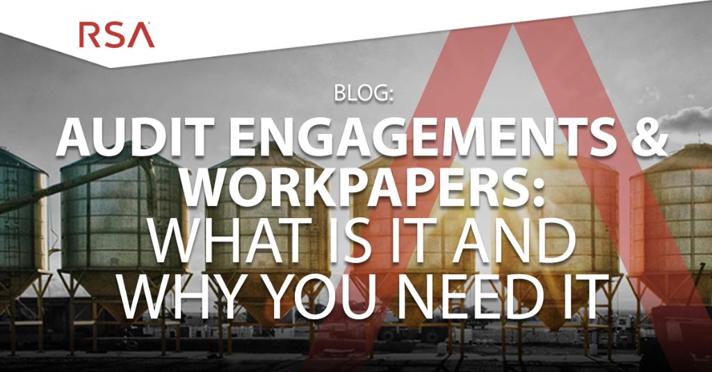 Blog: Audit Engagements & Workpapers - What Is It and Why You Need It