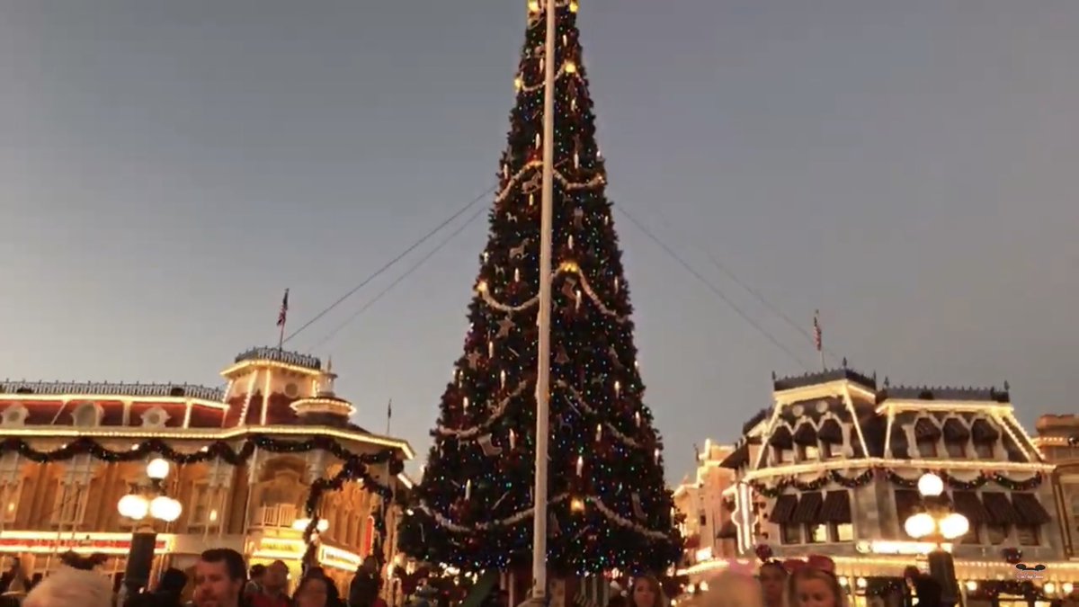 bobbyworld's tweet photo. @LenTesta @JimHillMedia @DisneyDishPod Tree blocks my view! https://t.co/lEPvkz5JWz