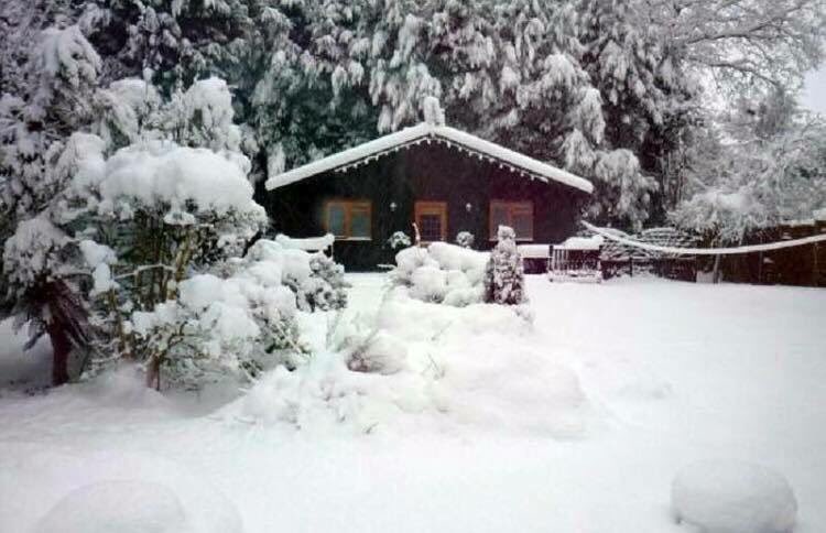 phoenixbespoke's tweet image. I wonder if any of our buildings are going to look like this this winter 🤔 they look pretty! #winter #prettyinwhite #phoenixtimberbuildings #gardenrooms #farnhamsurrey #bespoke
