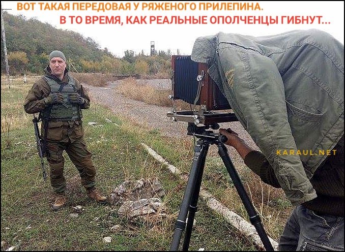 Ополченец падающих звезд. Дилан ван ананасовая башка. Сад падающих звёзд дорама обложка. Ополченец падающих звезд. Леониды метеорный поток 2022.