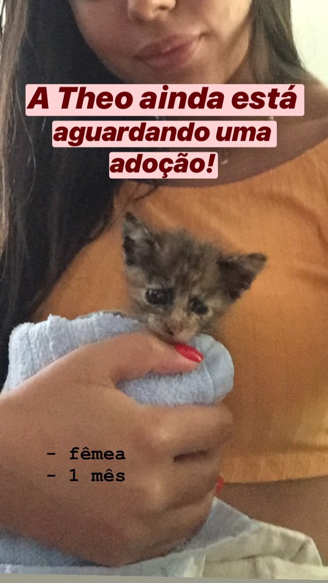 dudexlopes0's tweet photo. Ajudem a divulgar por favor!!!!! https://t.co/pQljI8OJkQ