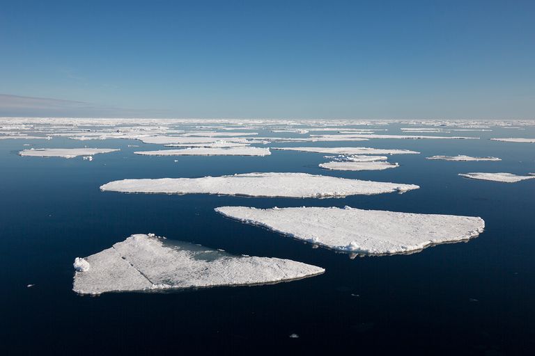 Отчет от южных морей до полярного края