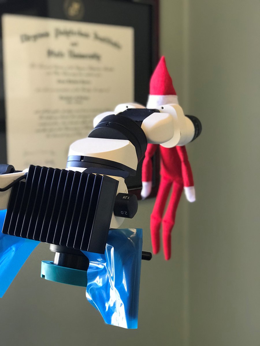 EastCoastEndoVA's tweet image. What a lucky little elf to be surrounded by all the latest technology! Wonder if he&apos;d doing root canals on the Elf community at night? #Hedstromtheelf #allthelatesttech #gentlewave #firstinva
