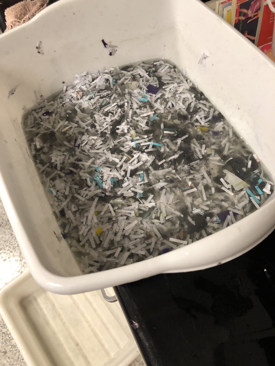JenniferBarr28's tweet photo. Grade 3/4 is making paper! @thickwoodArts @FMPSD @WestwoodGI https://t.co/o6gFxTGM5y