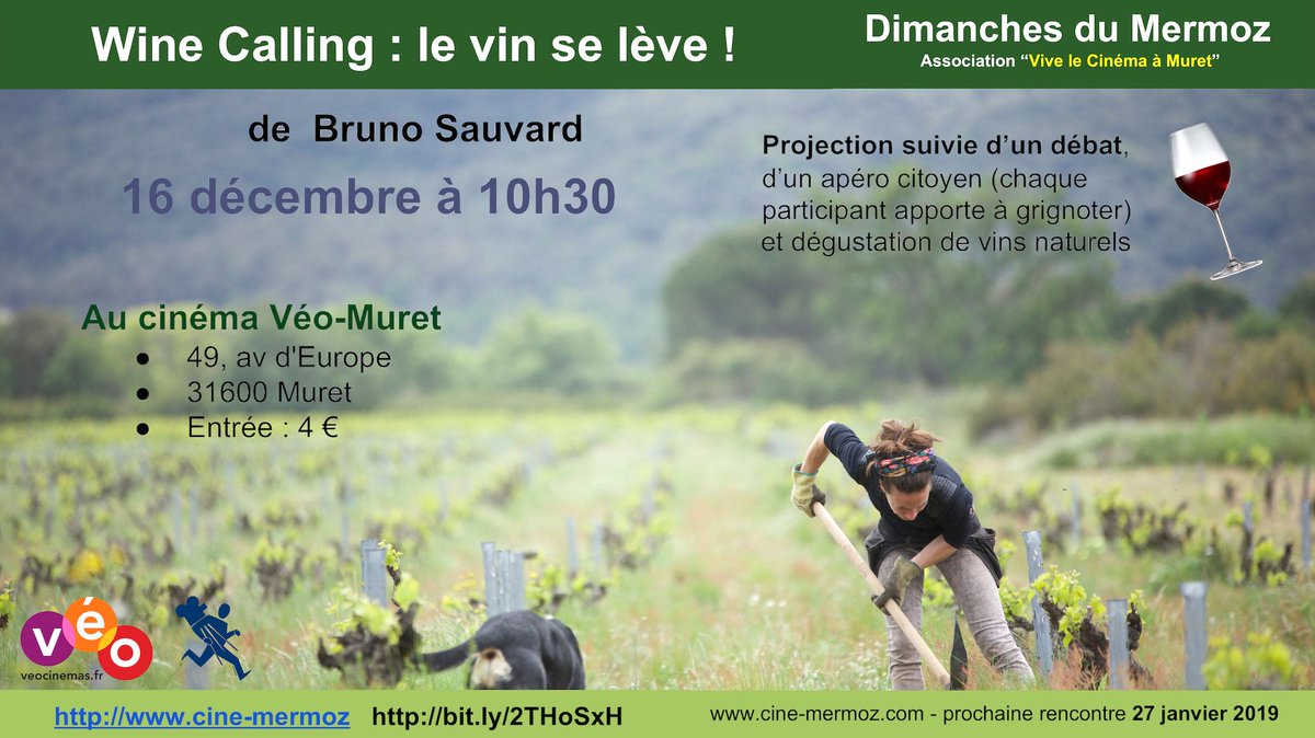 Festival du Film de Muret tweet media