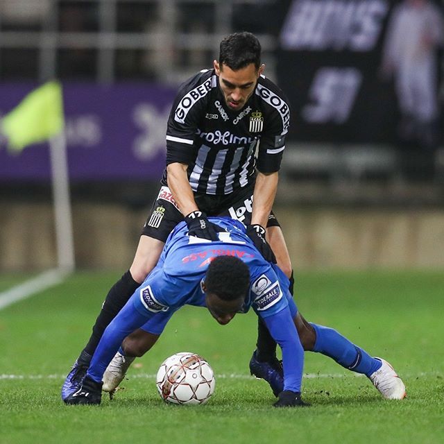 Bruno Fahy tweet media