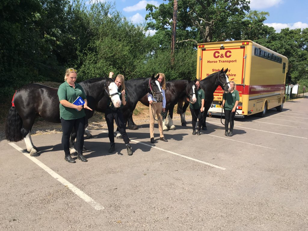 Ha ha @PegasusCentre spot the difference!