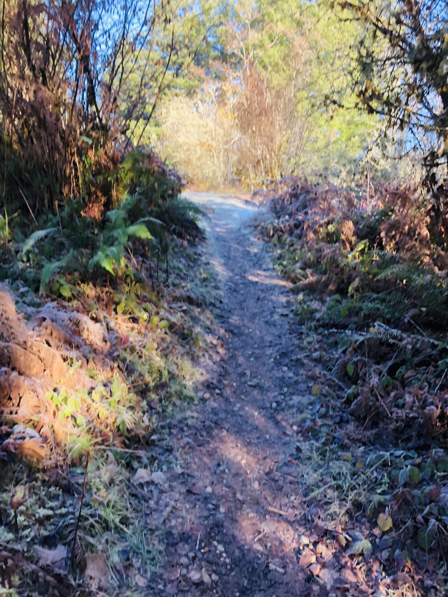 Kauaibride's tweet photo. a few pics from this morning’s hike. https://t.co/OepFBJqQVw