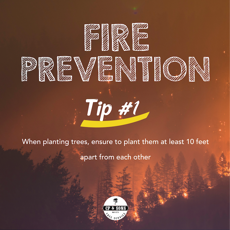 We thank every firefighter, policeman, and volunteer who helped during the many wildfires that occurred in California the last few weeks. 

To help reduce the chances of another large wildfire, we gathered a few tips every homeowner should follow. Stay tuned for future tips!