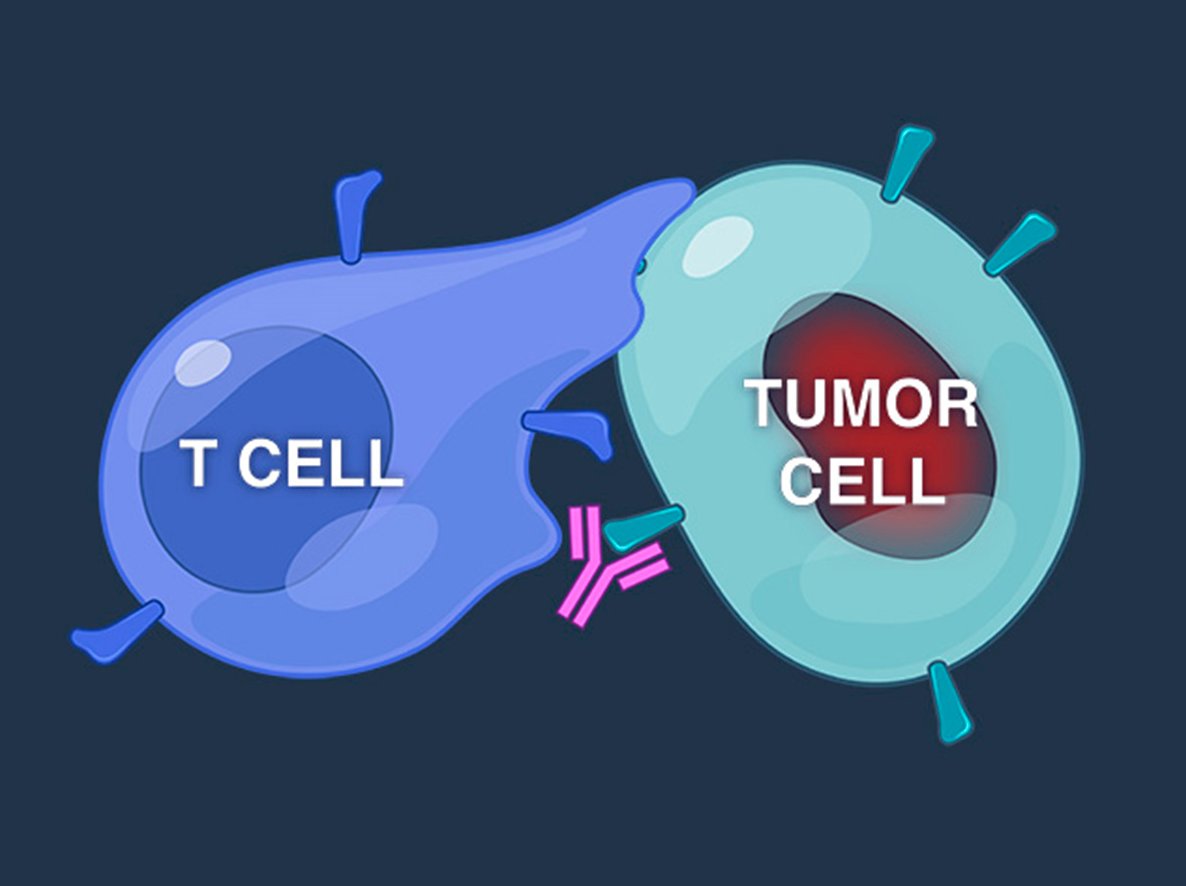 NEJM's tweet photo. New Quick Take video: Treating Extensive-Stage Small-Cell Lung Cancer https://t.co/52PxDIadjR https://t.co/7NSlcTLHtI