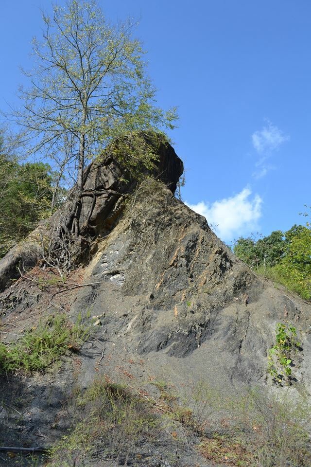 ArkansasTV_'s tweet photo. This month on #ExploringAR, meet bluegrass prodigy Mary Parker; check out Village Creek State Park's kayaking and fishing; visit #WalnutRidge's Wings of Honor Museum; and investigate #YCity, Arkansas's boulder "erratics."
It's all coming up in a new episode tonight at 6:30! https://t.co/BIxqWQWH7h