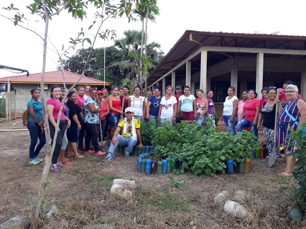 Agroeco2S's tweet photo. Finalizamos proceso de formación "Básico en producción de material vegetal en Viveros" con las comunidades de Puente de Ure, Bocas de Ure, Centro America y Pto Colombia. 
Agradecimientos a nuestro gran aliado @CerroMatosoSA, por todo su despliegue logístico.
@SBDIR_SENACFMA. https://t.co/KwwW4jsCpO