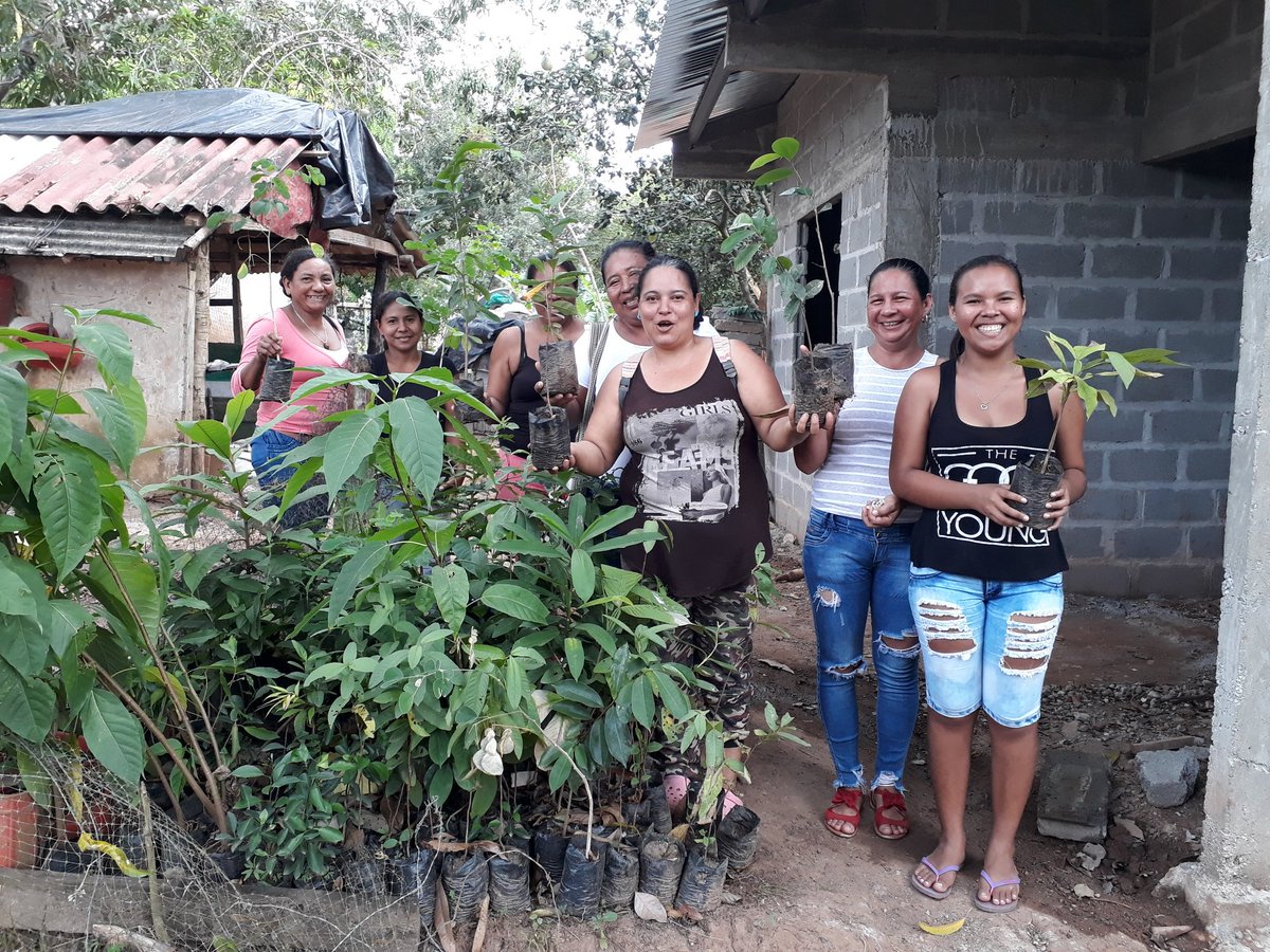 Agroeco2S's tweet photo. Finalizamos proceso de formación "Básico en producción de material vegetal en Viveros" con las comunidades de Puente de Ure, Bocas de Ure, Centro America y Pto Colombia. 
Agradecimientos a nuestro gran aliado @CerroMatosoSA, por todo su despliegue logístico.
@SBDIR_SENACFMA. https://t.co/KwwW4jsCpO