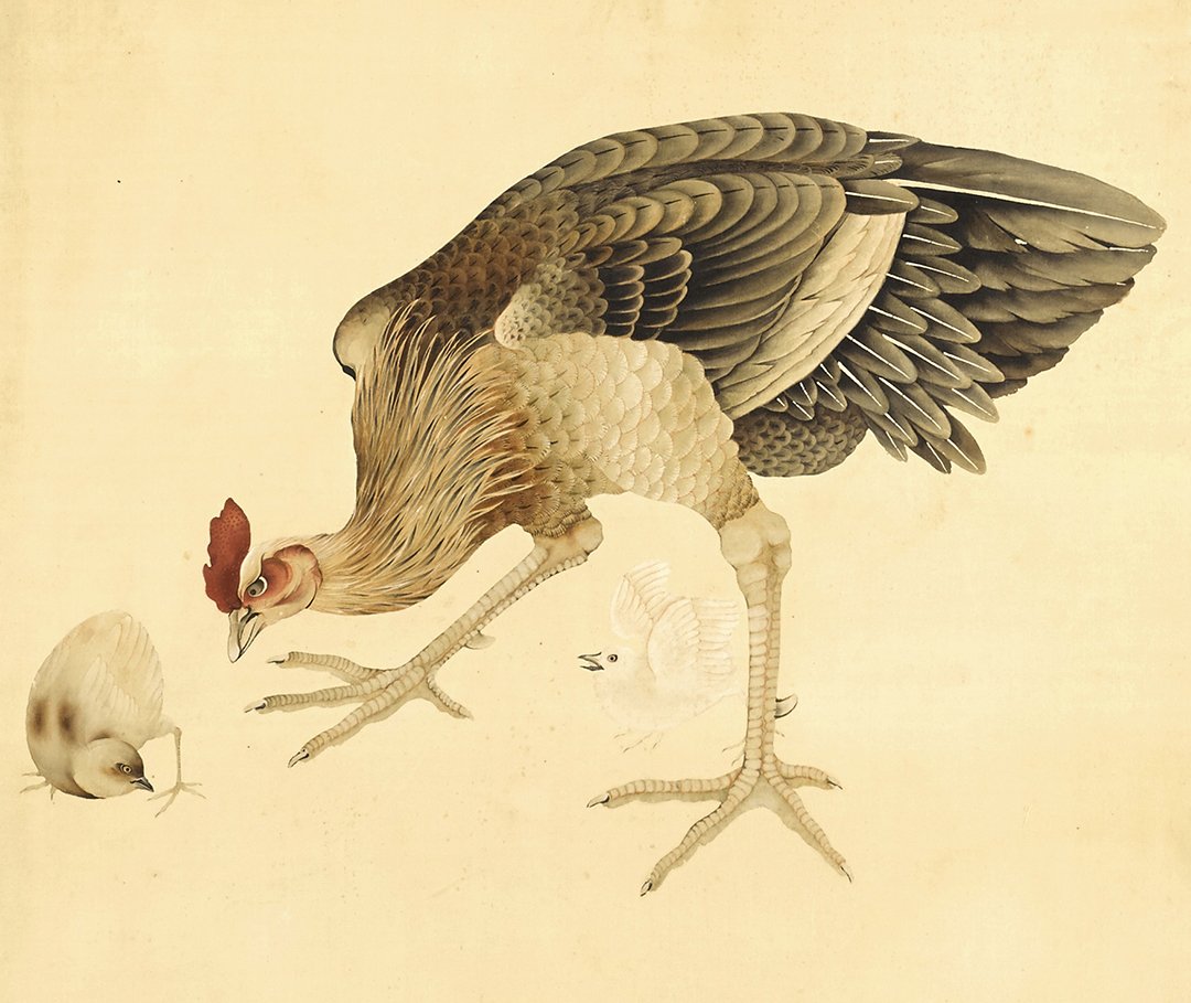 bonhams1793's tweet photo. On December 17 & 18 we will present 3 sales of #AsianArt in San Francisco - Decorative Asian Art, Fine Snuff Bottles & Fine Asian Works of Art, the latter featuring a large, arresting two-panel folding screen by #Raisho, entitled "Rooster, Hen and Chicks" https://t.co/n5JJ3pAmyk https://t.co/gNW3leUJSN