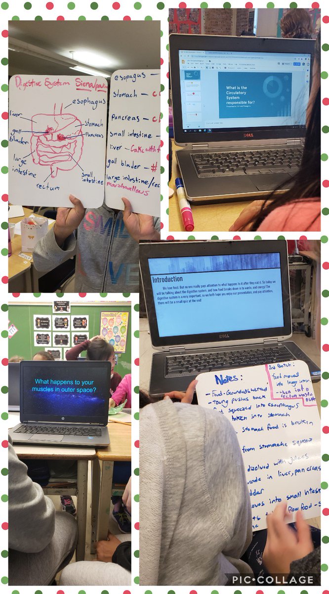 The grade 5s @Cassandra_PS are very excited about their collaborative inquiry project on human body systems #Science #scientistsatwork @LC2_TDSB @tdsb @TDSB_STEM