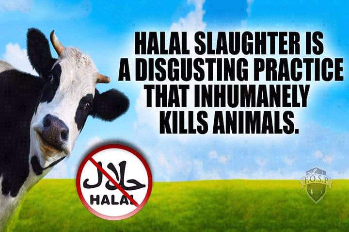 Aussie_Pride_'s tweet photo. #stophalal
#Banhalal 
#TRUEBLUEBLOKE 👌 https://t.co/yoFLM2F09e