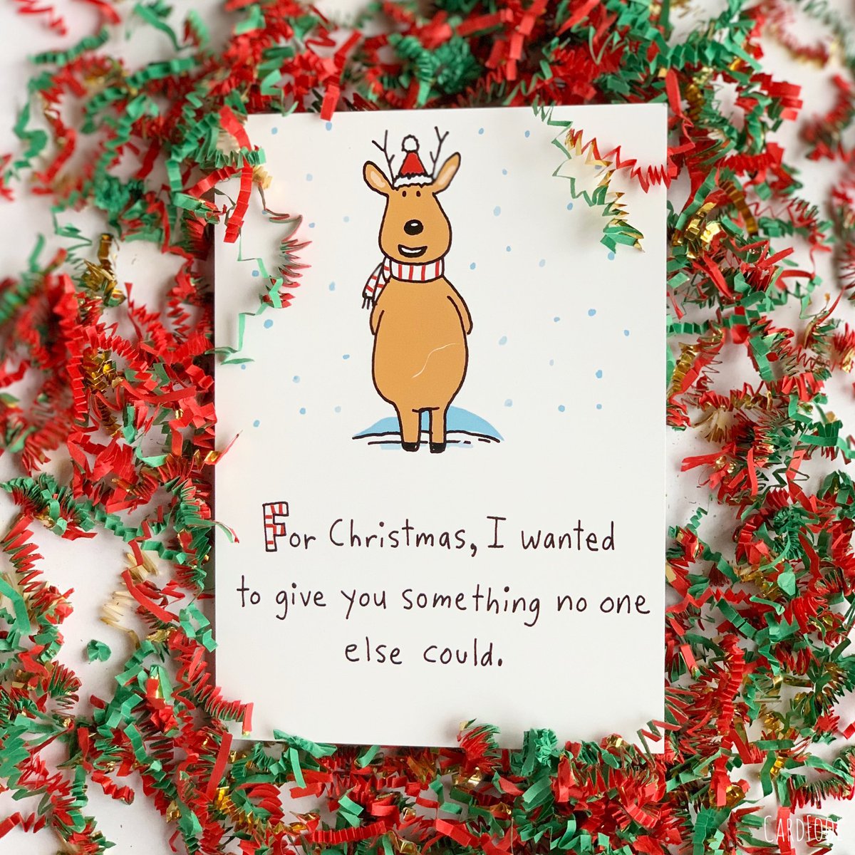 CardFool's tweet image. A brand new car! Kidding. But a brand new CARD is better. #lastslonger #christmascards #makeitfunny #makeitthoughtful bit.ly/2ut5s3o #holidaycards #personalized