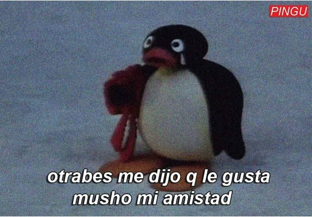 stonerhome's tweet photo. Los momos de pingu son geniales https://t.co/gNoQxpIy8Y