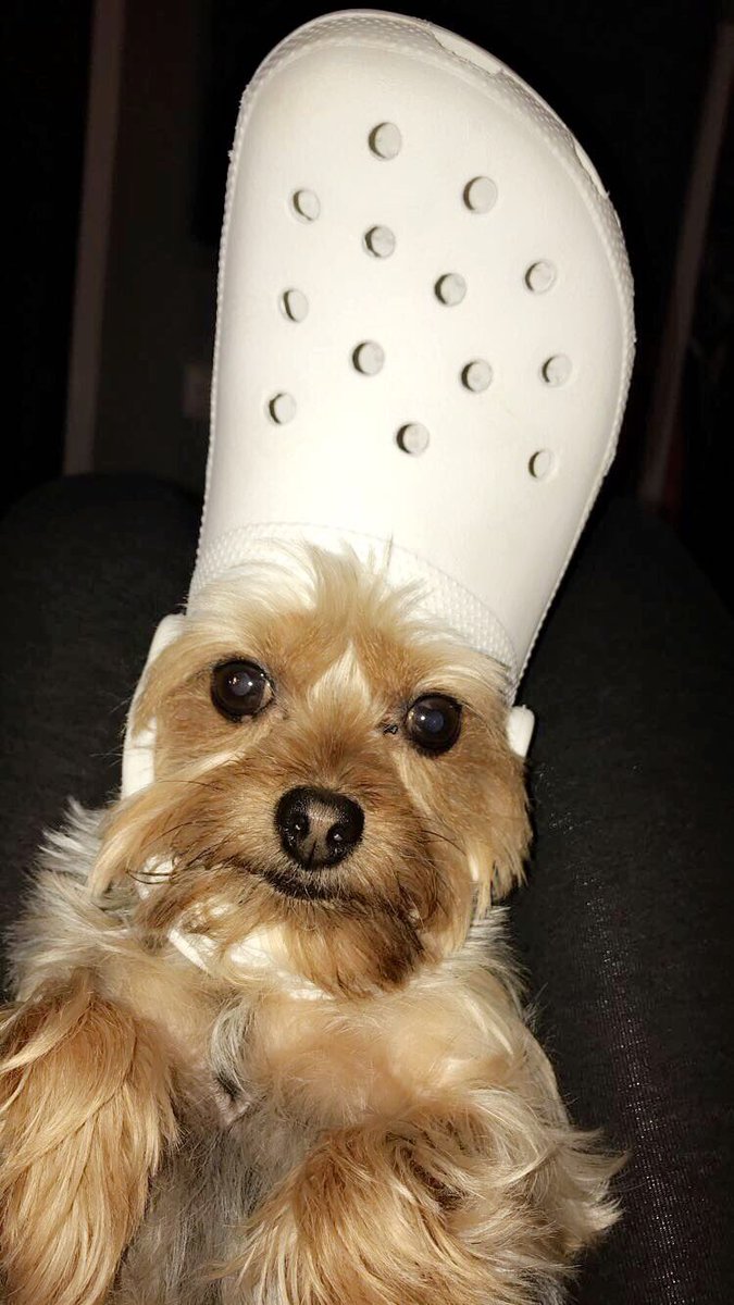 she didn’t like this