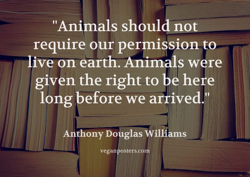 veganposters's tweet image. We love it when you share the love. A retweet would be great