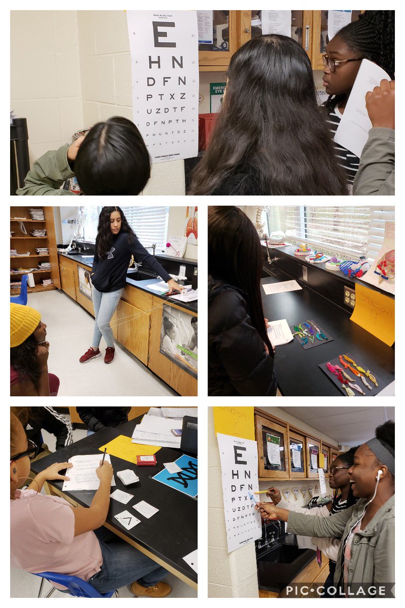 Our Health Science students playing the role of patient and ophthalmologist in conducting vision tests #anatomy #eyes #vision <a href="/BCPS_Magnet/">BCPS Magnet Programs</a> <a href="/overleahs/">Overlea High School</a> <a href="/BaltCoPS/">Baltimore County Public Schools</a>