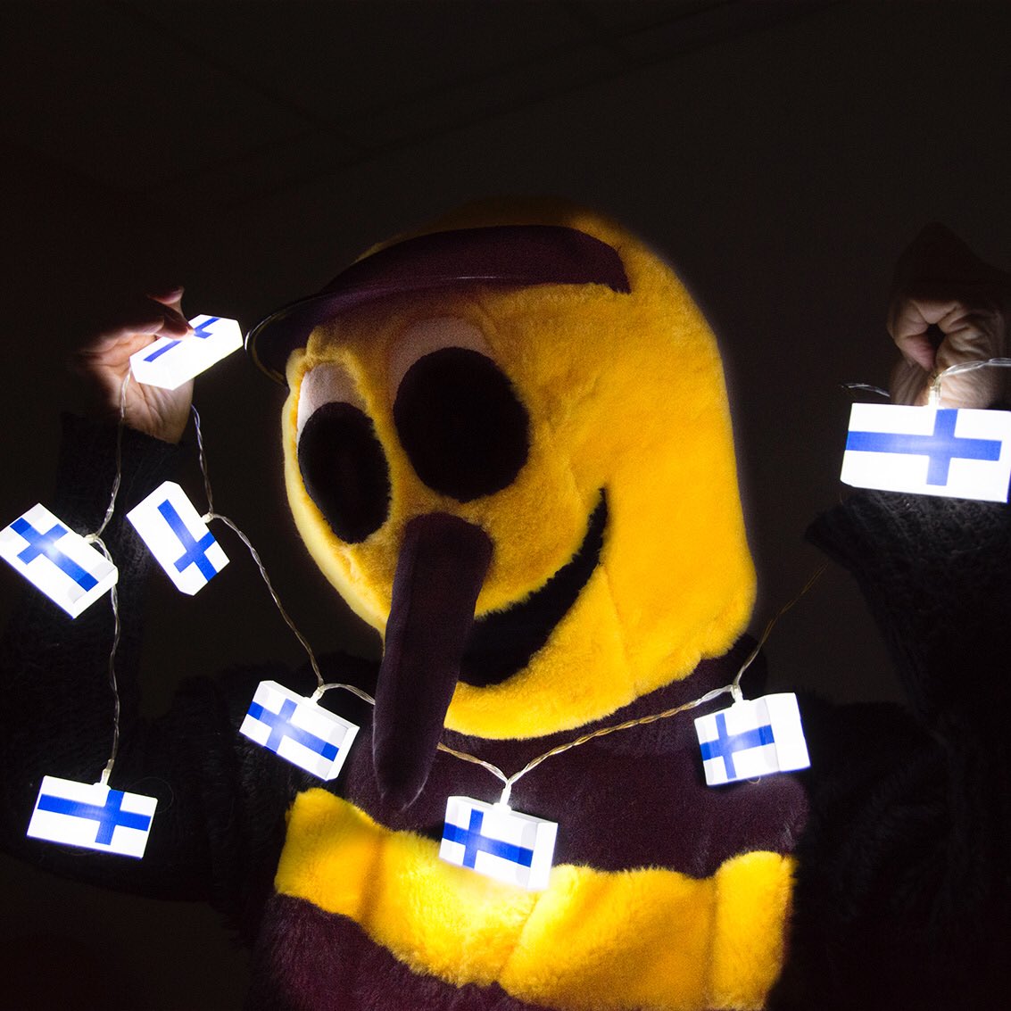 Länskis unohtaa hetkeksi Tontun, sillä tänään juhlitaan itsenäisyyttä. - Meillä pörriäisilläkin on itsenäisyys ja vapaus, seon hieno ja iloinen asia! Länskis herkistyy. #itsenäisyyspäivä #Suomi101 #lohja #visitlohja #independenceday #kuudesjoulukuuta