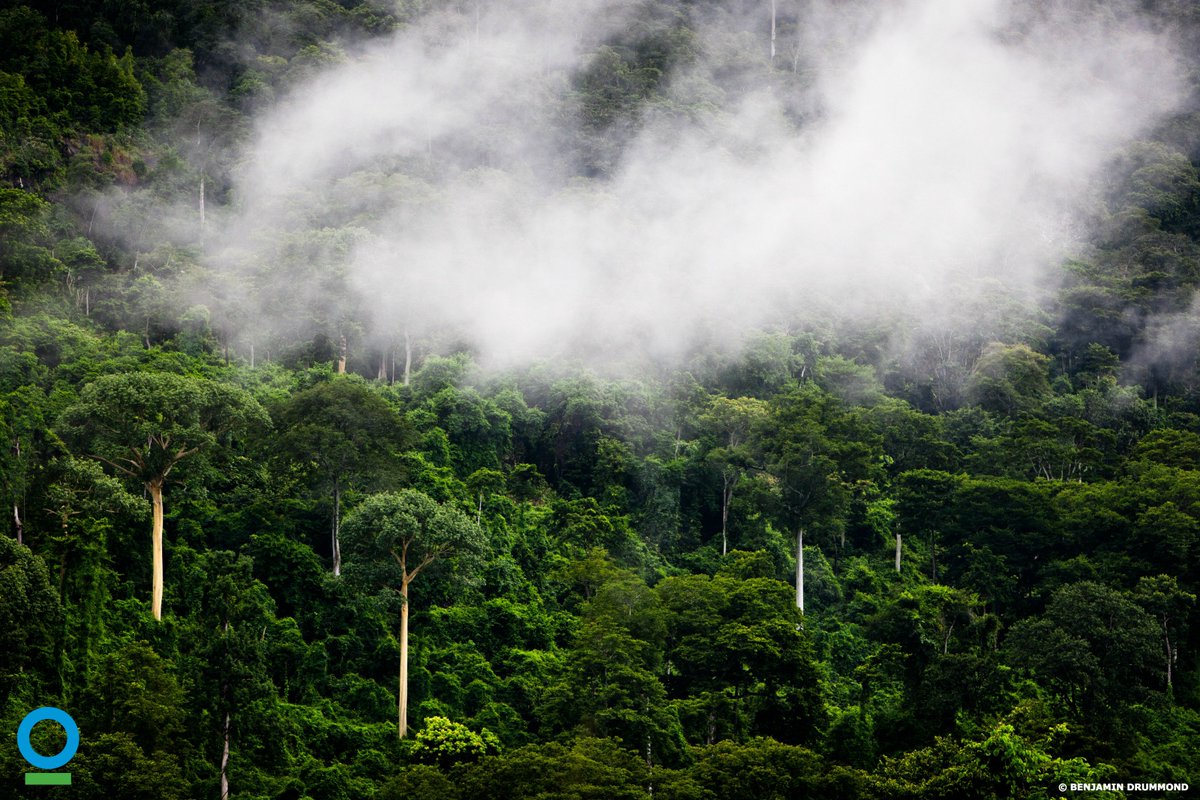 #ThisIsNaturalCapital: @GDSA Exec Secretary Ruud Jansen: “If Africa hopes to safeguard livelihoods, alleviate poverty and develop sustainably, it must include #naturalcapital information in all of its major decisions." <a href="/NatCapCoalition/">Natural Capital Coalition</a> More at naturalcapitalcoalition.org/wp-content/upl…