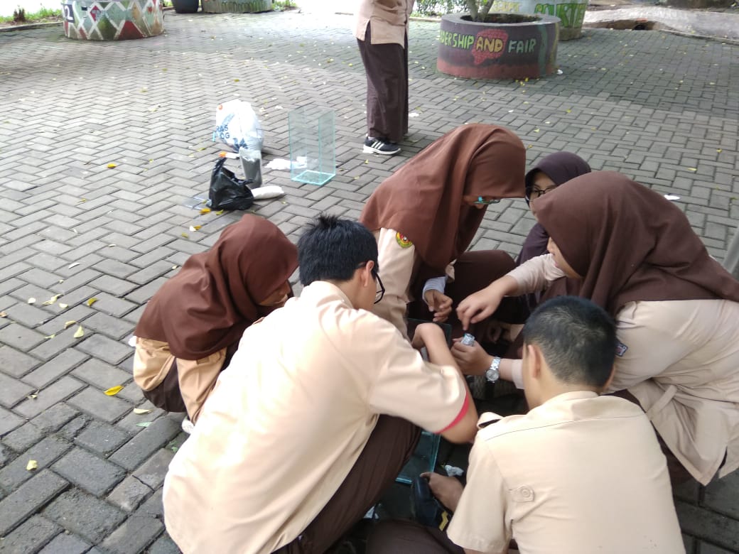 SMA ISLAM TPG tweet media