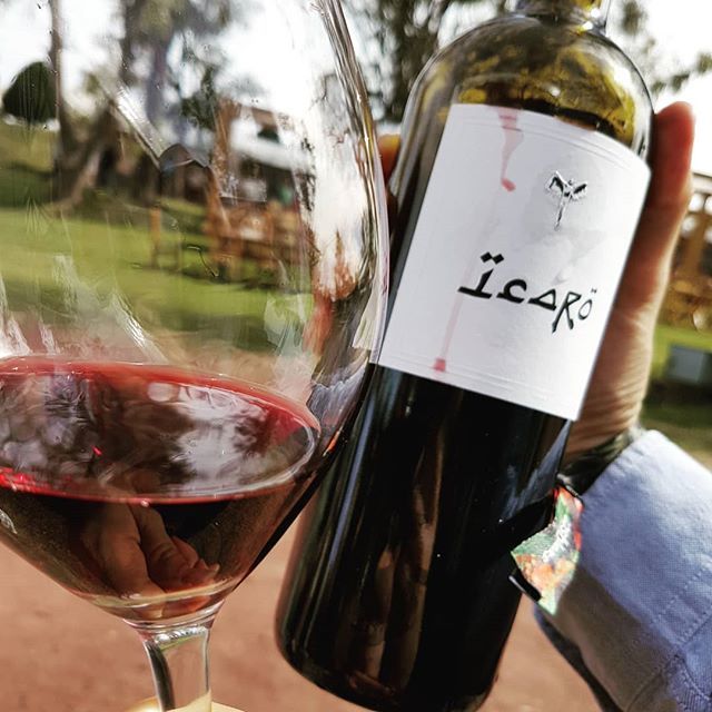 CurioGastro's tweet photo. Icaro, el fav de muchos... te cuento lo que viví un domingo en @fevinomx en https://t.co/eh8KdAApNf
#fevinomx https://t.co/FuRNa8HcUT https://t.co/vJp2AgIORy