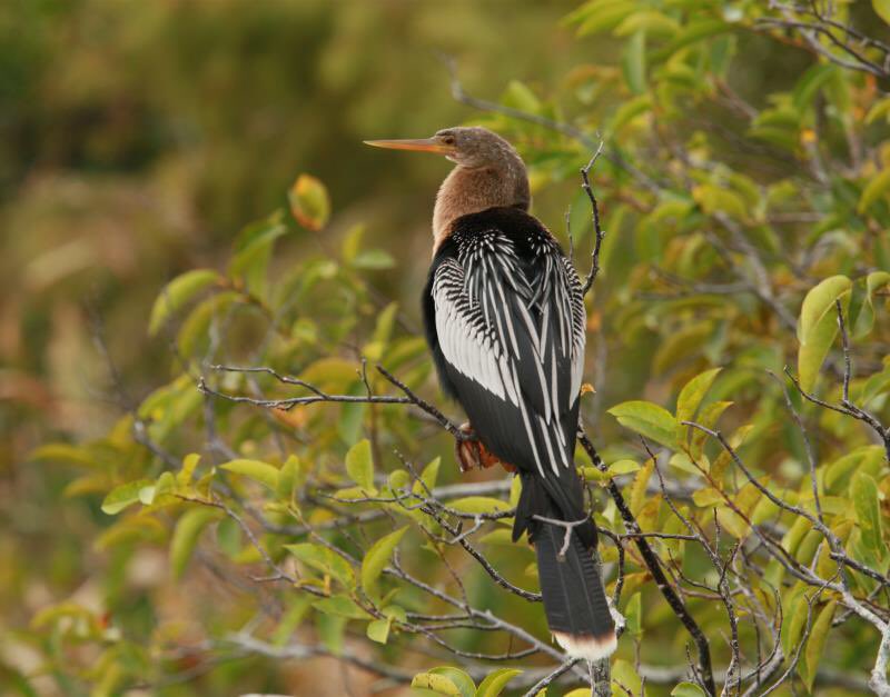 James (@dinggh1_dinggh) on Twitter photo 