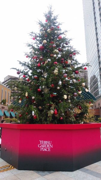 ft_fudosan's tweet photo. 毎年恒例☆　恵比寿ガーデンプレイスのXmas☆★☆夜はイルミネーションも綺麗ですよ♪

#クリスマス #恵比寿ガーデンプレイス #バカラ https://t.co/J14IvXu4vT