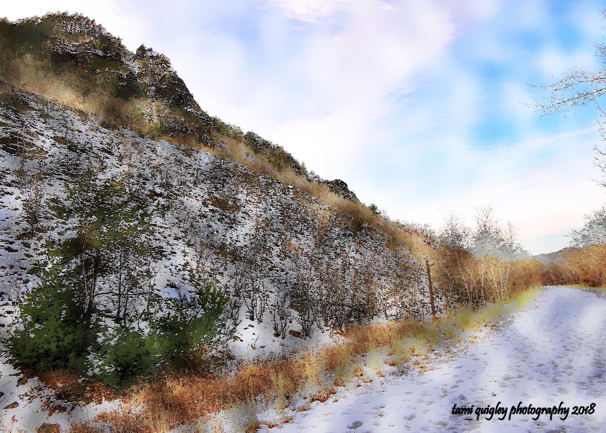The Sugared Trail trailscapes-tami.blogspot.com/2018/12/the-su… #ThursdayMotivation #NaturePhotography #landscapephotography #LehighValleyPhotography #WinterIsComing #JohnMuir #january #BlueMountain #KittatinnyRidge #AppalachianTrail #Pennsylvania @visitPA #outdoors #naturelover #artisitic #PHOTOS